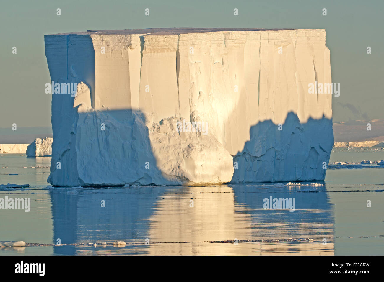 Iceberg tabulari su un mare calmo, Penisola Antartica, Antartico suono, l'Antartide. Dicembre 2015. Foto Stock