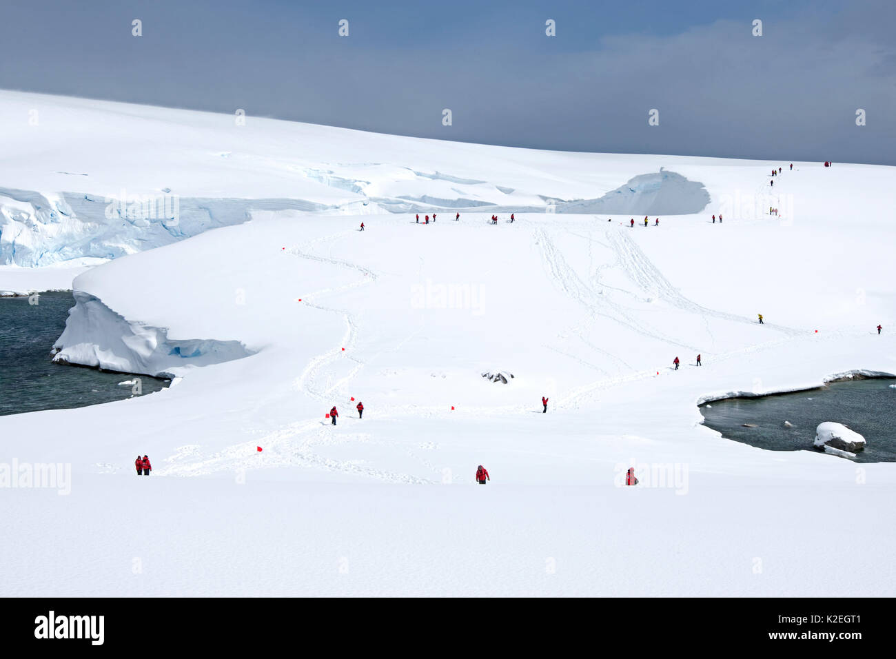 I turisti passeggiate sulla neve mound, Charlotte Bay, portale punto, Penisola Antartica, Antartide. Dicembre 2015. Foto Stock