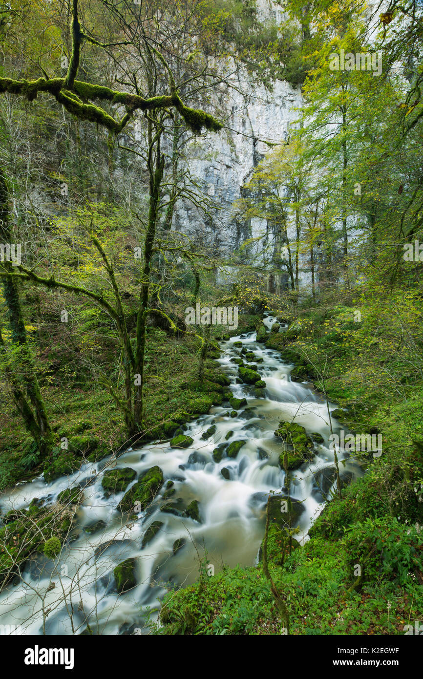 Fiume che scorre attraverso le Bief Sarrazin, Gorge du Lison, Massif du Jura, Doubs, Franche-Come, Francia, ottobre 2014. Foto Stock