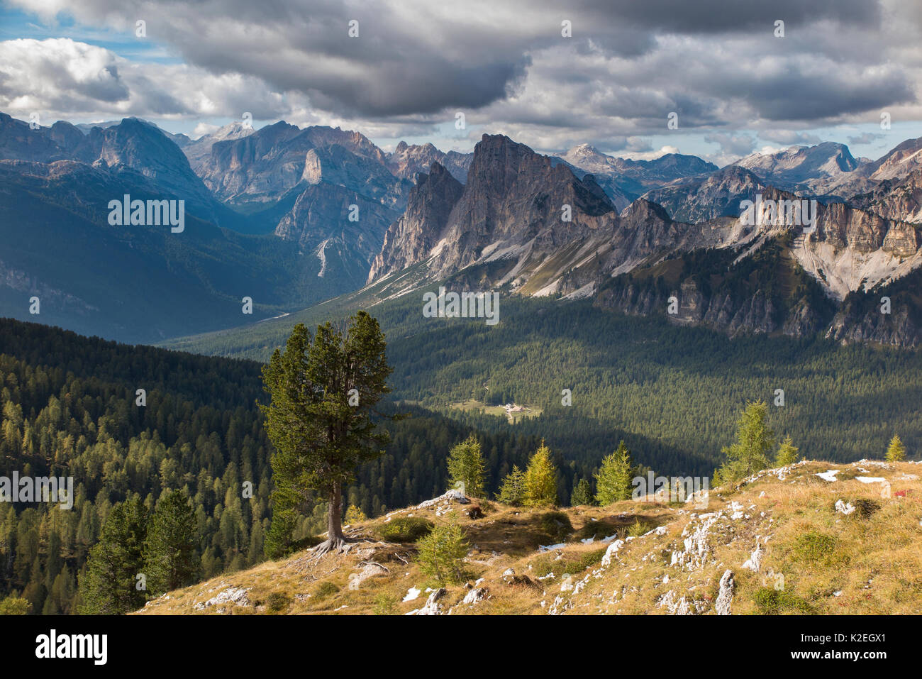 Vedute di Cristallo e le Dolomiti da Ciadin del Luodo, Provincia di Belluno, Veneto, Italia, Settembre. Foto Stock