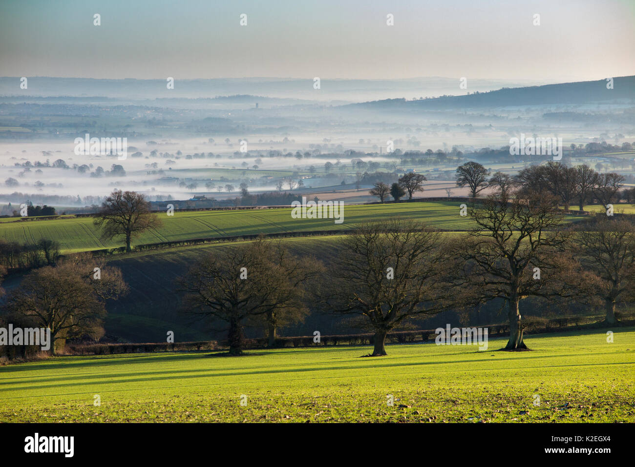 Giornata invernale e vicino a Ludlow, Shropshire, Inghilterra, Regno Unito, dicembre 2014. Foto Stock