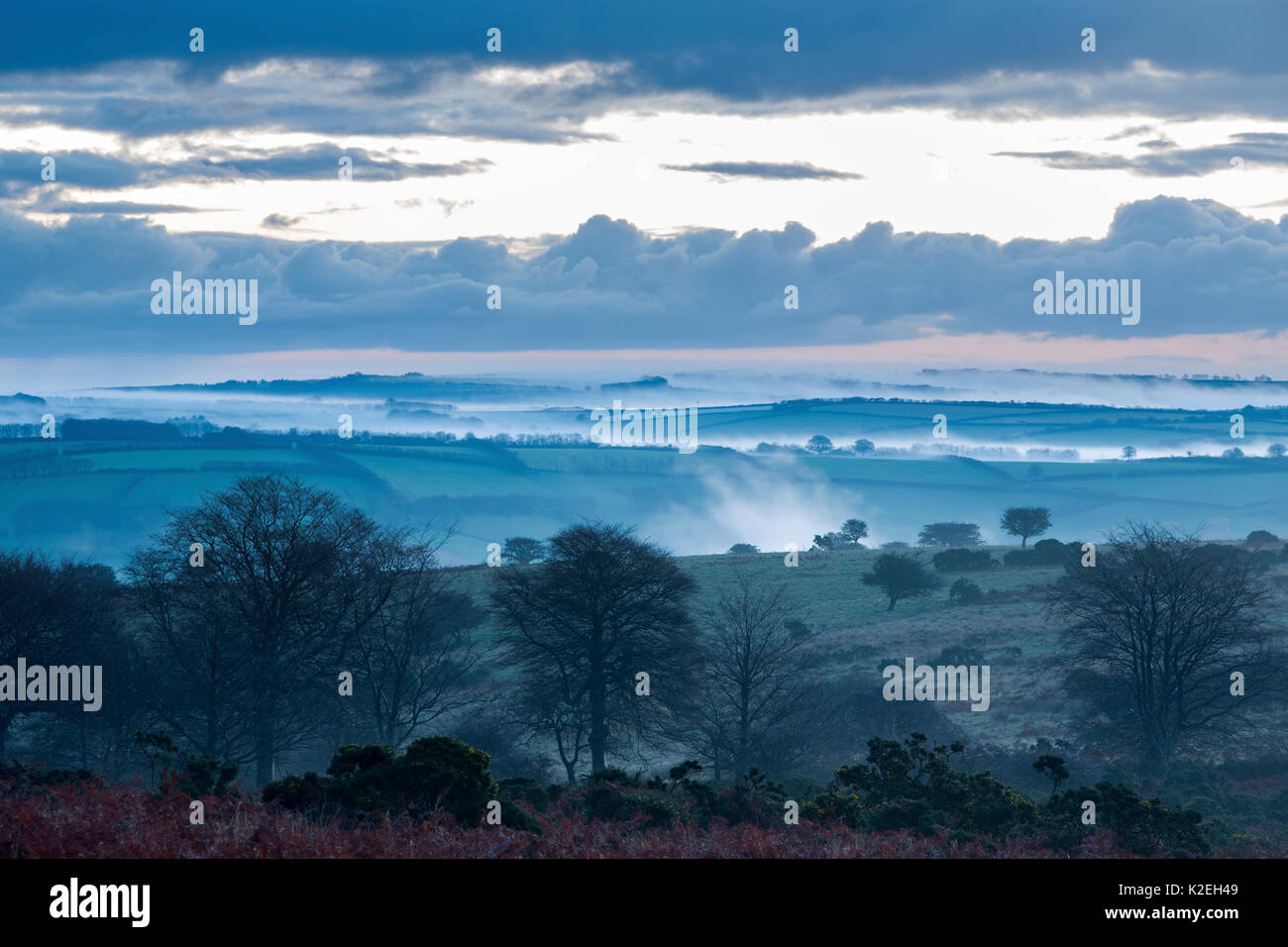 Exmoor all'alba da Winsford Hill, Parco Nazionale di Exmoor, Somerset, Inghilterra, Regno Unito, novembre 2014. Foto Stock
