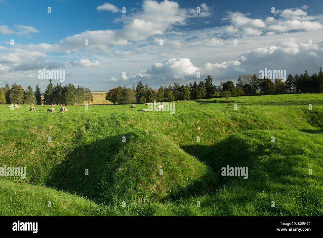 Resti di trincee della Prima Guerra Mondiale a Terranova Memorial Park sul campo di battaglia della Somme, Beaumont Hamel, Piccardia, Francia, ottobre 2014. Foto Stock