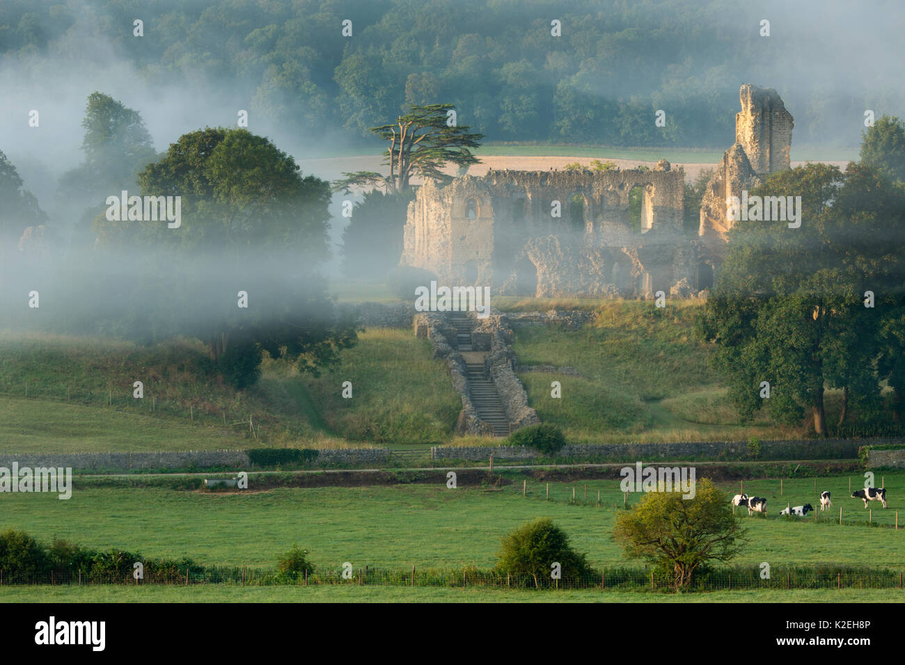 Old Sherborne Castle, Sherborne, Dorset, England, Regno Unito, Agosto. Foto Stock