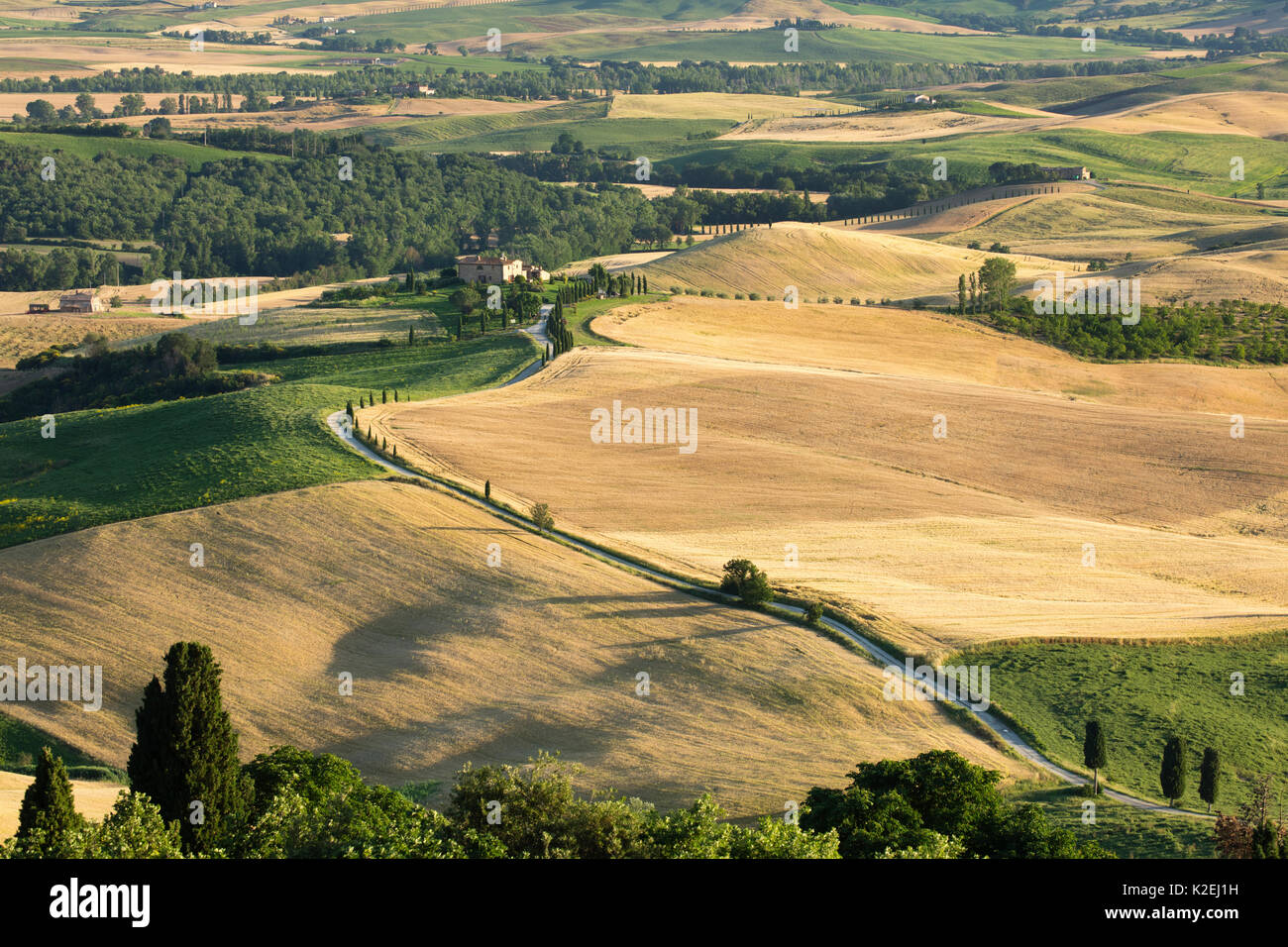 Paesaggio rurale in Val d'Orcia vicino a Pienza, Toscana, Italia, Giugno 2016. Foto Stock