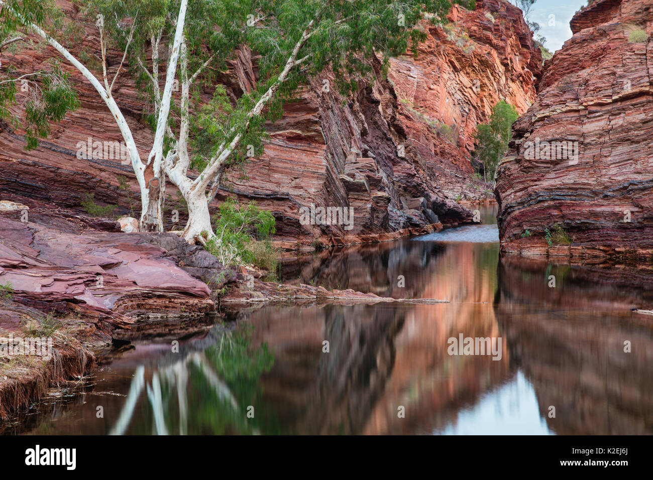 Scogliere con striature e fiume in Hamersley Gorge, Karijini National Park, Pilbarra, Western Australia, dicembre 2015. Foto Stock