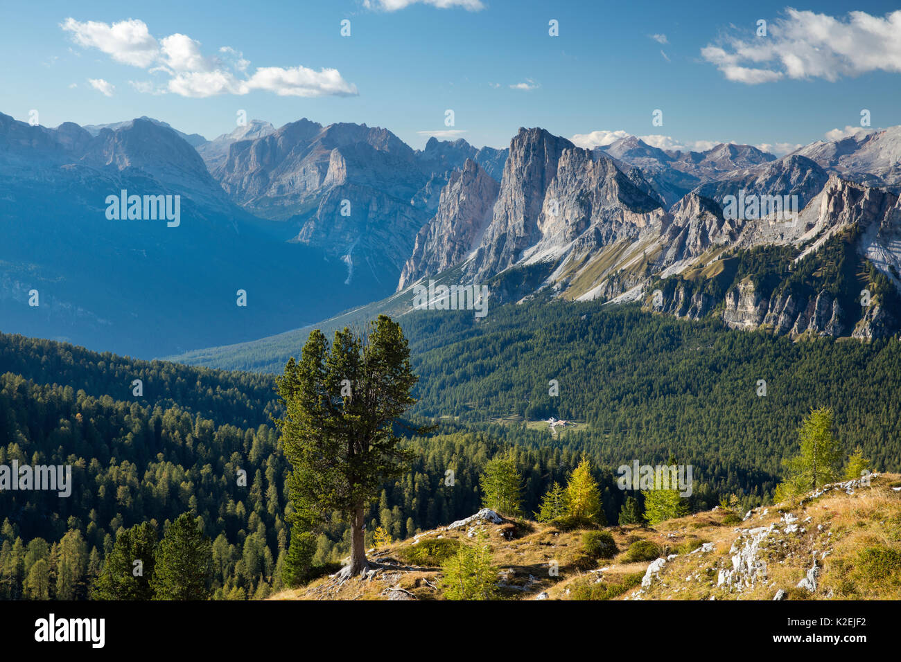 Vista sopra il Cristallo e la Dolomite Mountains da Ciadin del Luodo, Provincia di Belluno, Veneto, Italia, settembre 2015. Foto Stock