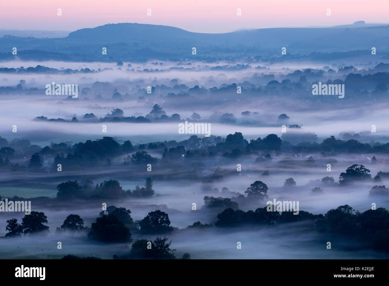 Foschia mattutina in Blackmore Vale, Dorset, Inghilterra, Regno Unito, settembre 2015. Foto Stock