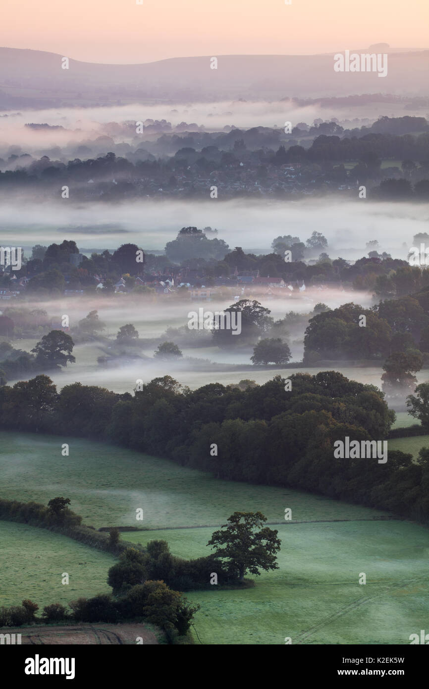 Foschia mattutina in Blackmore Vale, Dorset, Inghilterra, Regno Unito, settembre 2015. Foto Stock