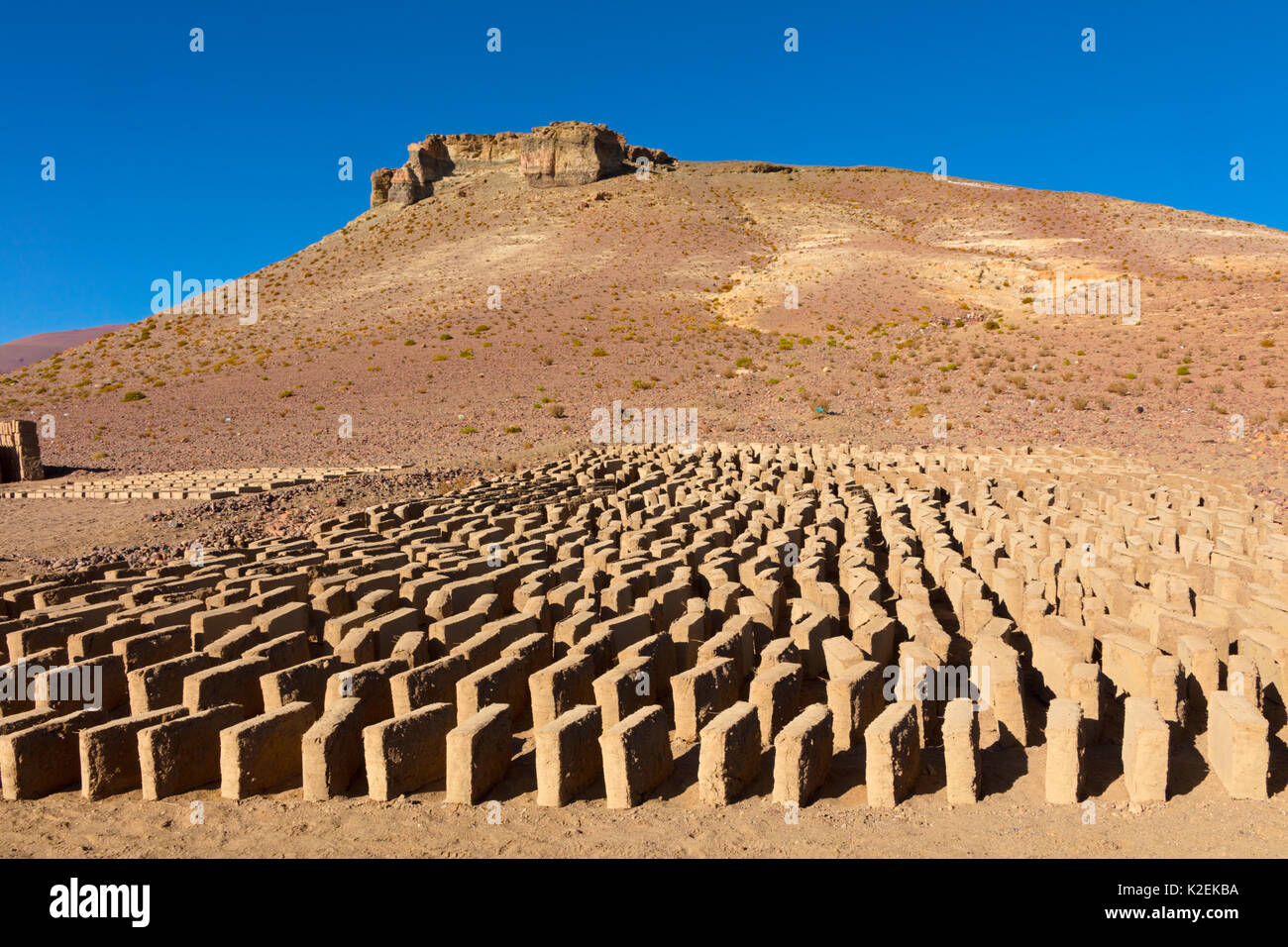 Adobe mattoni di fango ad asciugare al sole. Bolivia. Foto Stock