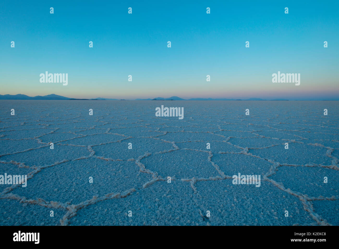 Formazioni di sale sulla superficie del Salar de Uyuni Salina. Bolivia. Dicembre 2016. Foto Stock