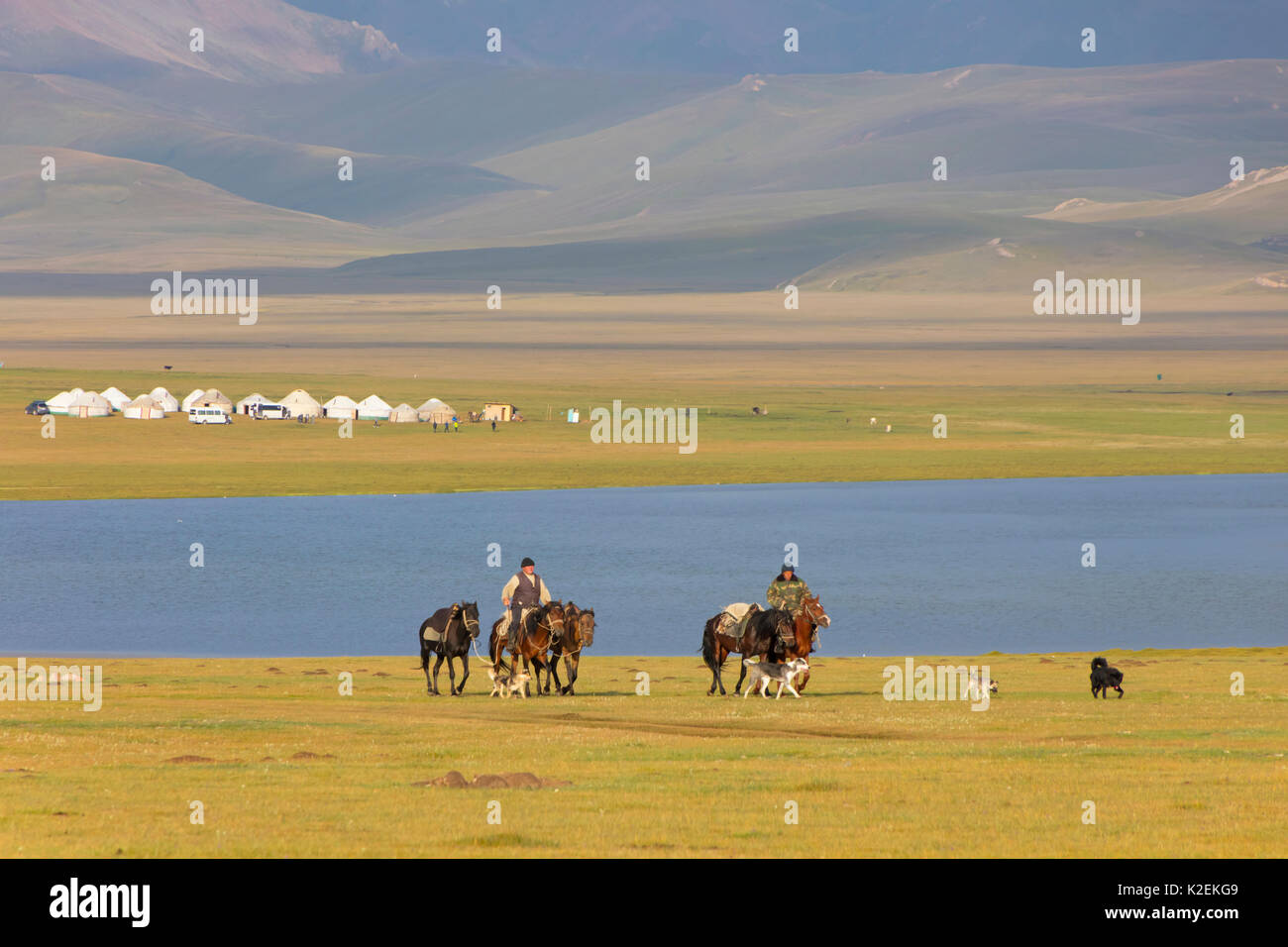 Yurta e cavalli da Song Kul Lago, Kirghizistan. Agosto 2016. Foto Stock