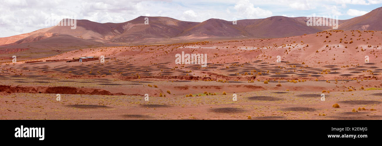 Paesaggio arido di alta Altiplano, punteggiate di Llama sterco di pile. Bolivia. Dicembre 2016. Foto Stock