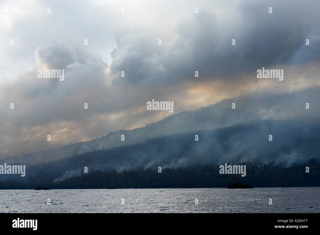 Incendio all'interno del Tangkoko National Park. Il fuoco è durato due settimane, fino a che esso si è estinto da una tempesta dal mare. Sulawesi, Indonesia, ottobre 2015. Foto Stock