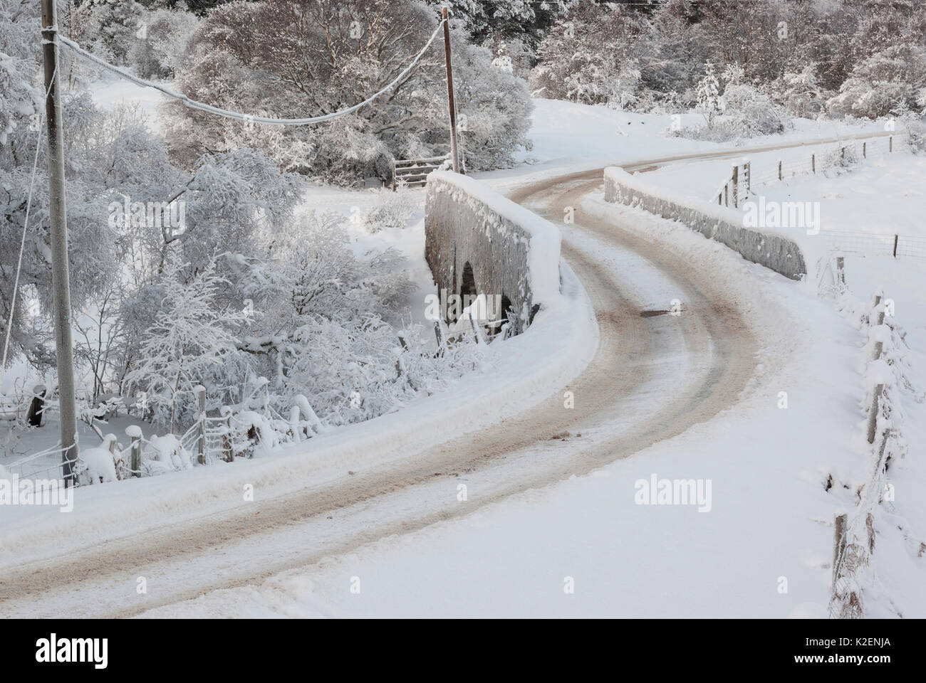 Paese rurale strada con s piegare su un giorno inverni, Rogart, Sutherland, Highlands, Scotland, Regno Unito Foto Stock