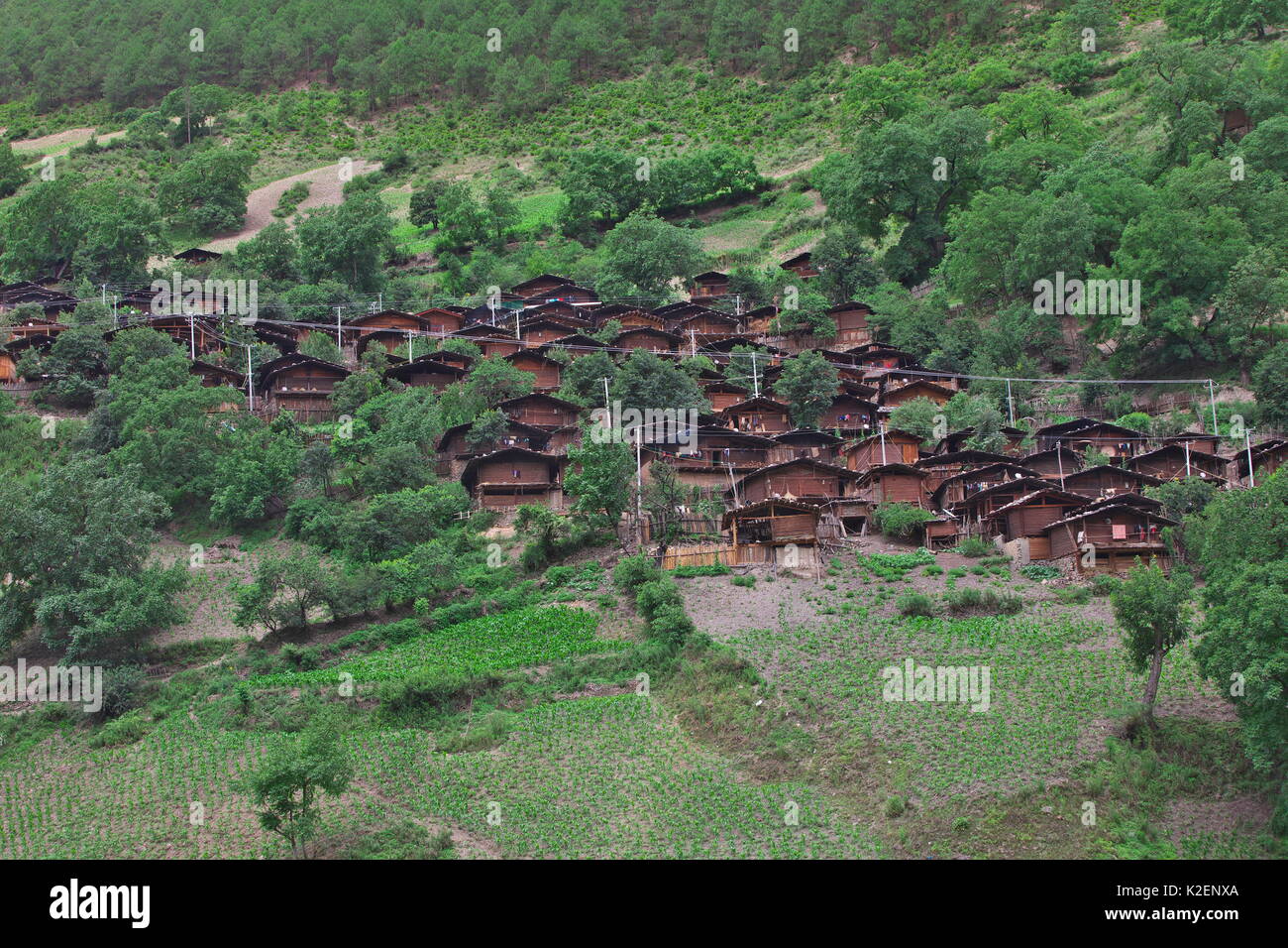 Case del popolo Lisu, Weixi county, nella provincia dello Yunnan in Cina. Luglio 2009 Foto Stock
