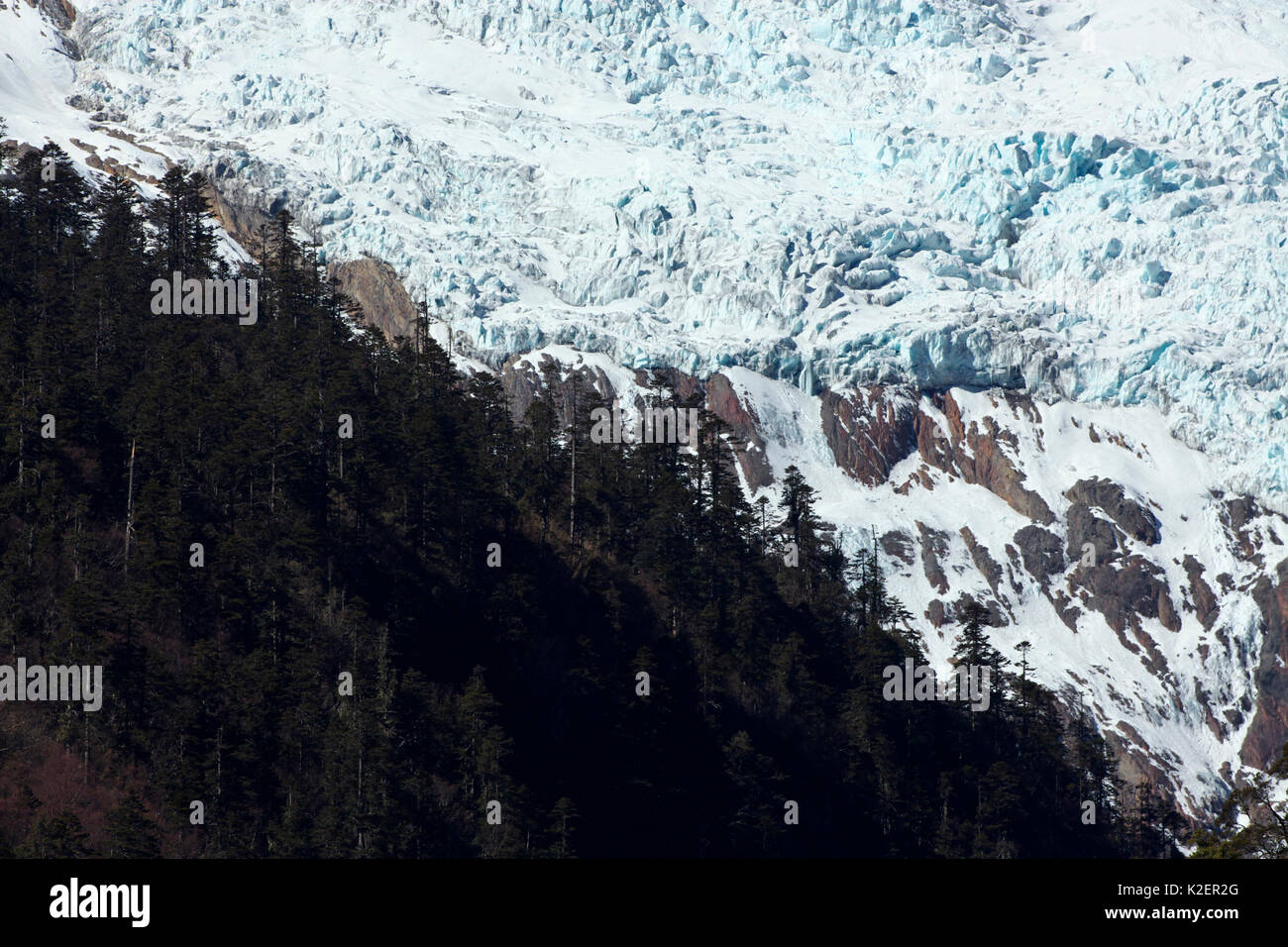 Kawakarpo montagna coperta di neve con alberi di conifere, meri Snow Mountain National Park, nella provincia dello Yunnan in Cina, Gennaio 2014. Foto Stock