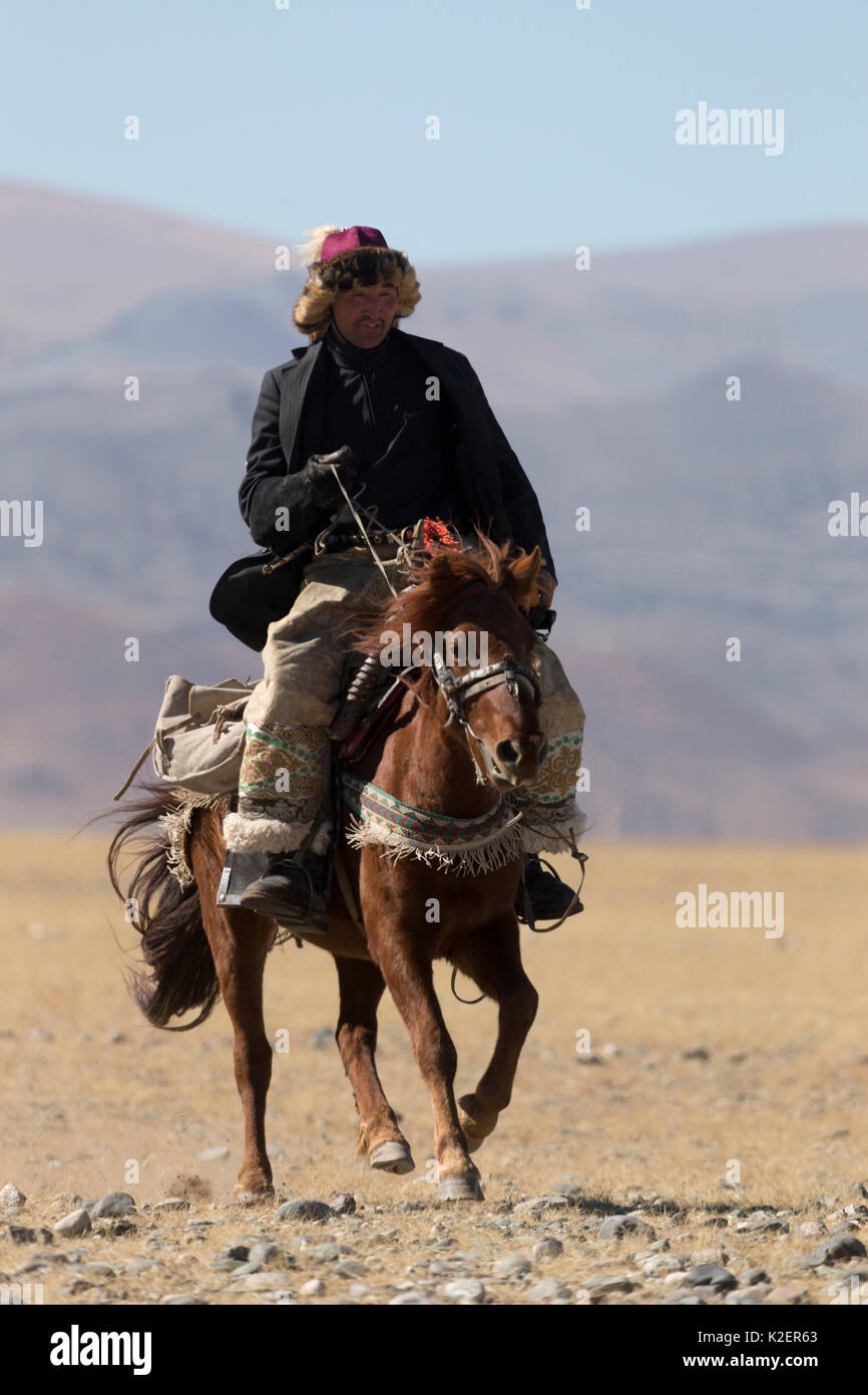 Eagle hunter montato sul cavallo mongolo arriva a l'Aquila cacciatori Festival, vicino Sagsai, Bayan-Ulgii Aymag, Mongolia. Settembre 2014.. Foto Stock