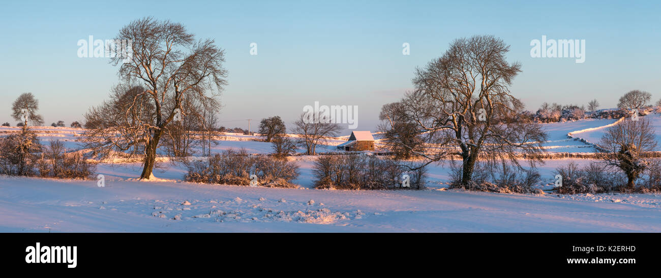Fienile in pietra dopo la nevicata. Bonsall, Parco Nazionale di Peak District, Derbyshire. Dicembre 2014. Cucito digitalmente panorama. Foto Stock