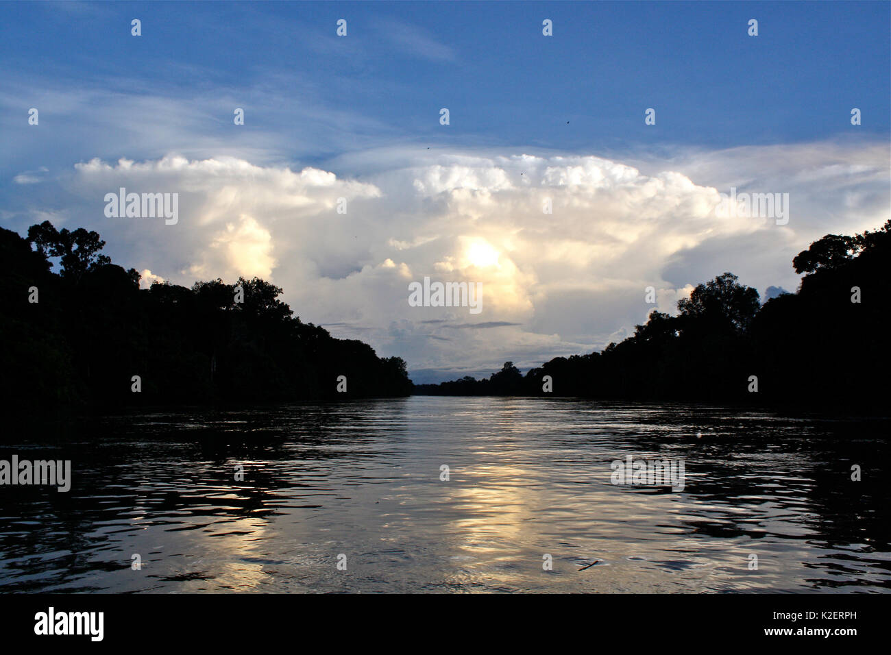Fiume nel sud del Kalimantan, Borneo Indonesiano. Agosto 2010. Foto Stock
