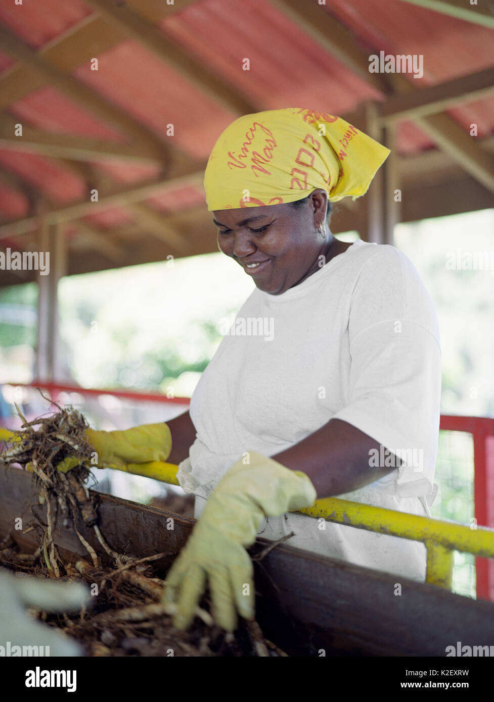 Un lavoratore ordina arrow-presso una fabbrica locale. Genuine, San Vincenzo Foto Stock