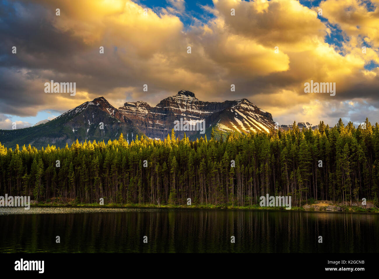 Scenic Sunset over deep forest lungo il lago di Herbert nel Parco Nazionale di Banff, con cime innevate della Canadian Rocky Mountains in background. Foto Stock