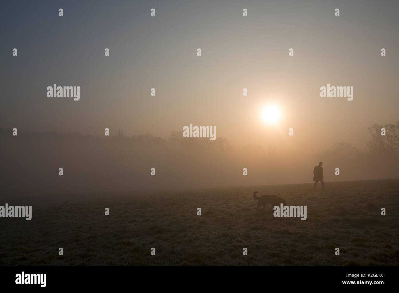 Dog walker su Hampstead Heath in una nebbiosa alba, Londra, Inghilterra, Regno Unito, marzo 2014. Foto Stock