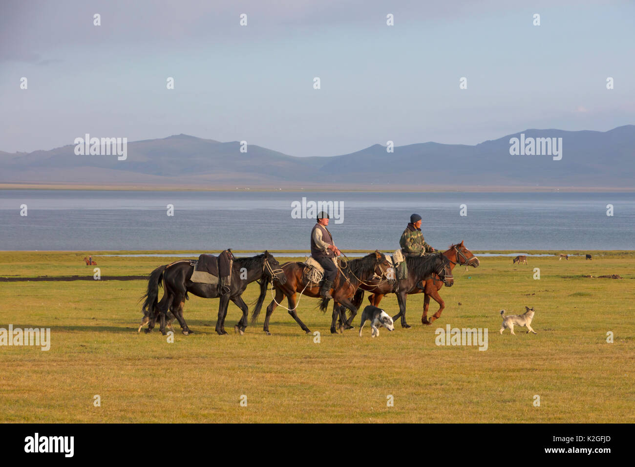 Cavalieri e cani da Song Kul Lago, Kirghizistan. Agosto 2016. Foto Stock