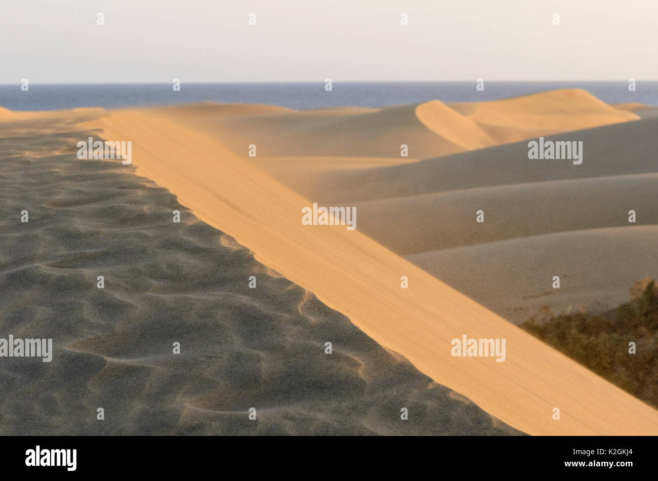Dune di sabbia in movimento, Maspalomas, gran canaria, Spagna Foto Stock