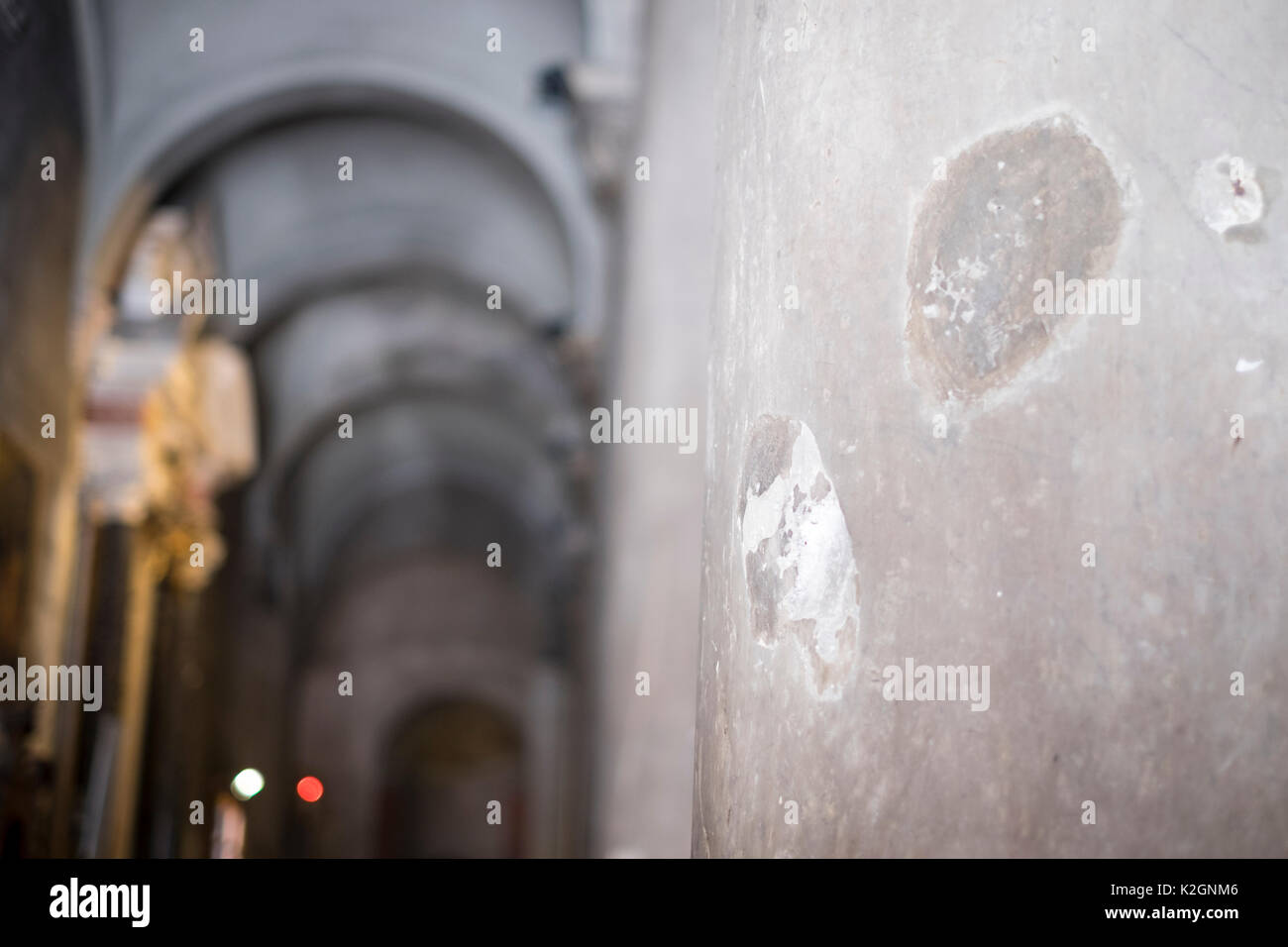 Duomo di San Martino, il Duomo di Lucca, Toscana, Italia Foto Stock