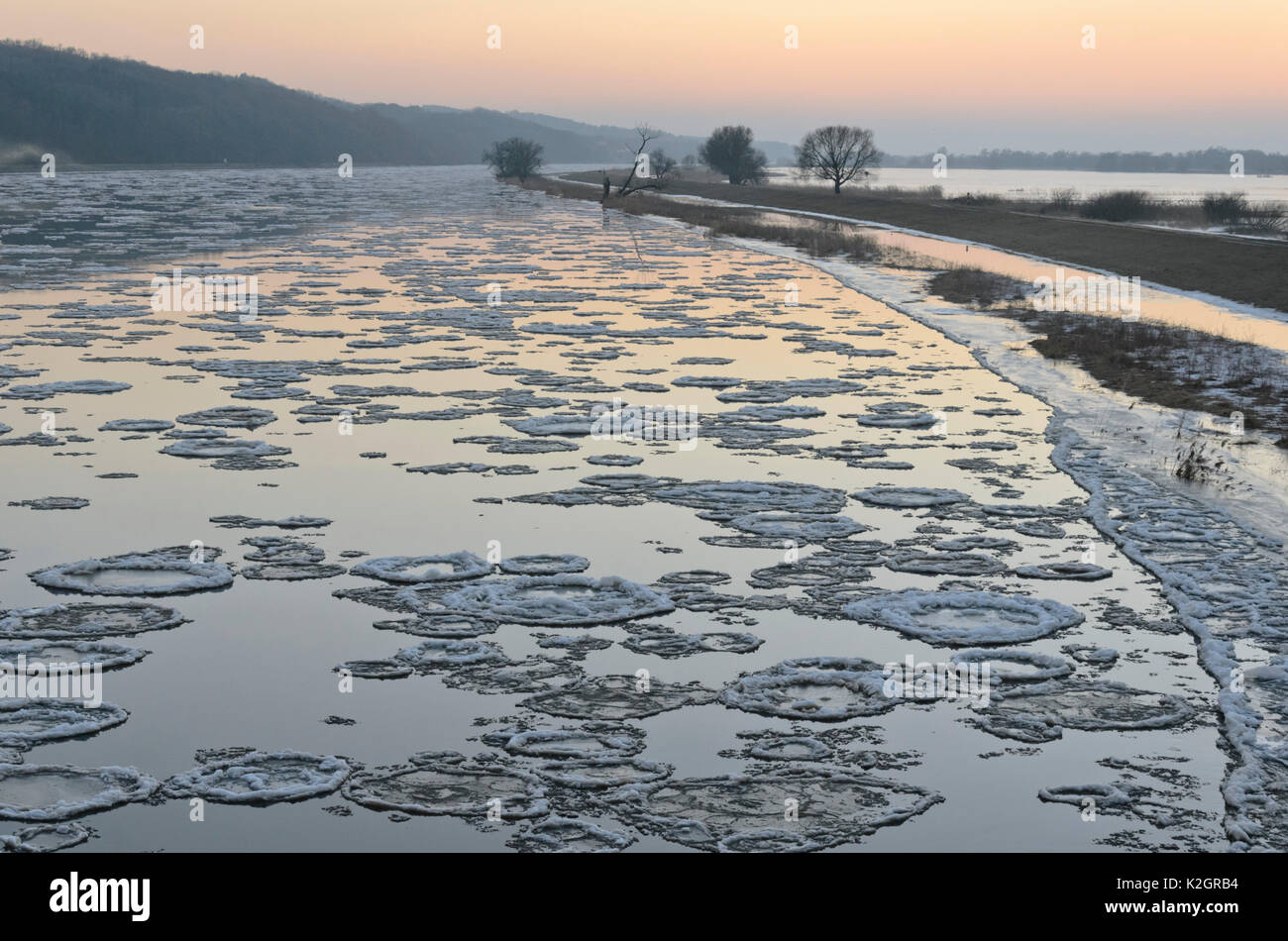 La deriva di ghiaccio sul fiume Oder, inferiore oder valley national park, Germania Foto Stock