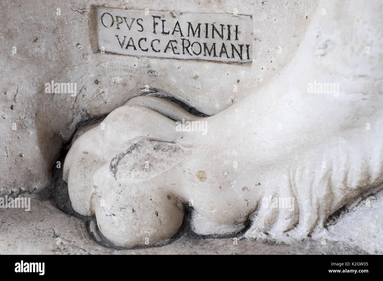 Dettagli della statua nella Loggia dei Lanzi, in Piazza della Signoria, Firenze, Italia Foto Stock