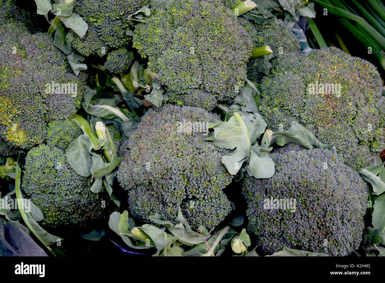 Greensputing broccoli (Brassica oleracea var. silvestris) essendo presentato in un mercato in stallo Foto Stock
