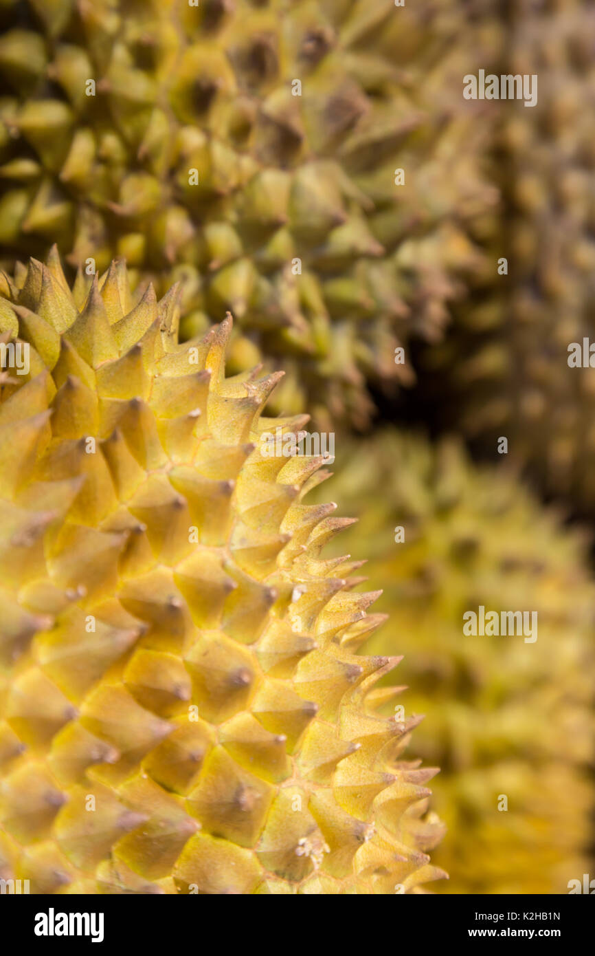 Frutta Durian , tipico frutto in Asia , in vendita a Hong Kong Kowloon market Foto Stock