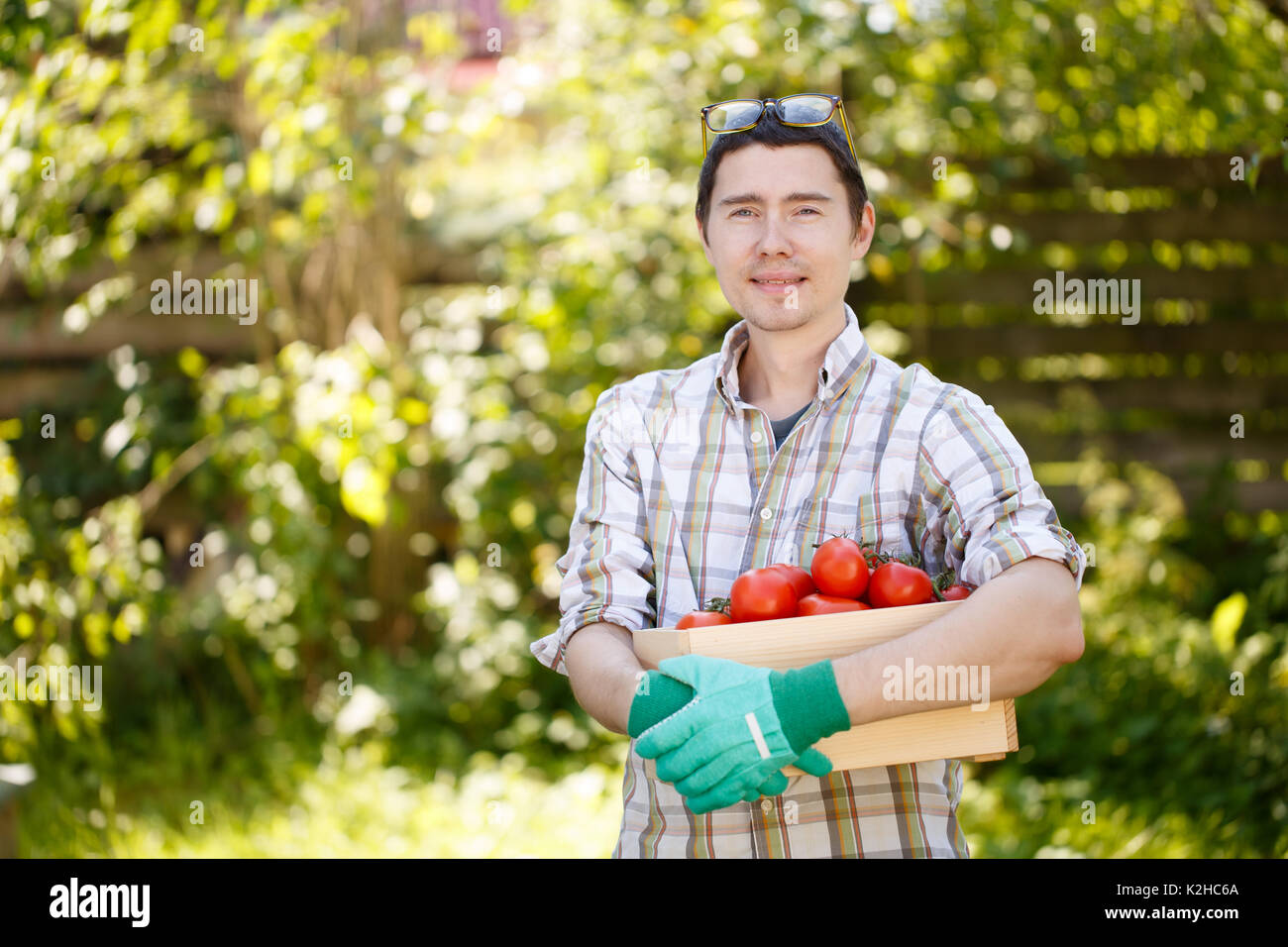 Foto di bruna con pomodoro Foto Stock