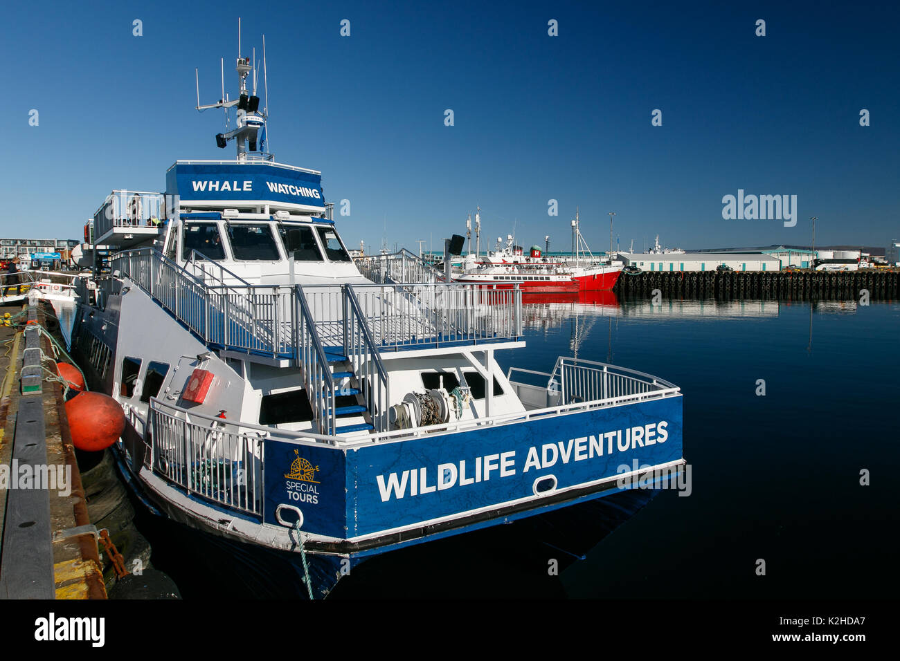 Barca usata per fare whale watching escursioni è ormeggiata nel porto di Reykjavik. Foto Stock
