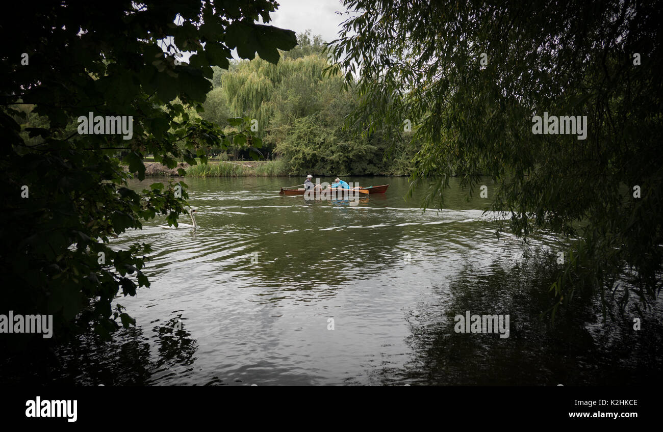Un paio di canottaggio sul Tamigi vicino a Wallingford, Inghilterra Foto Stock