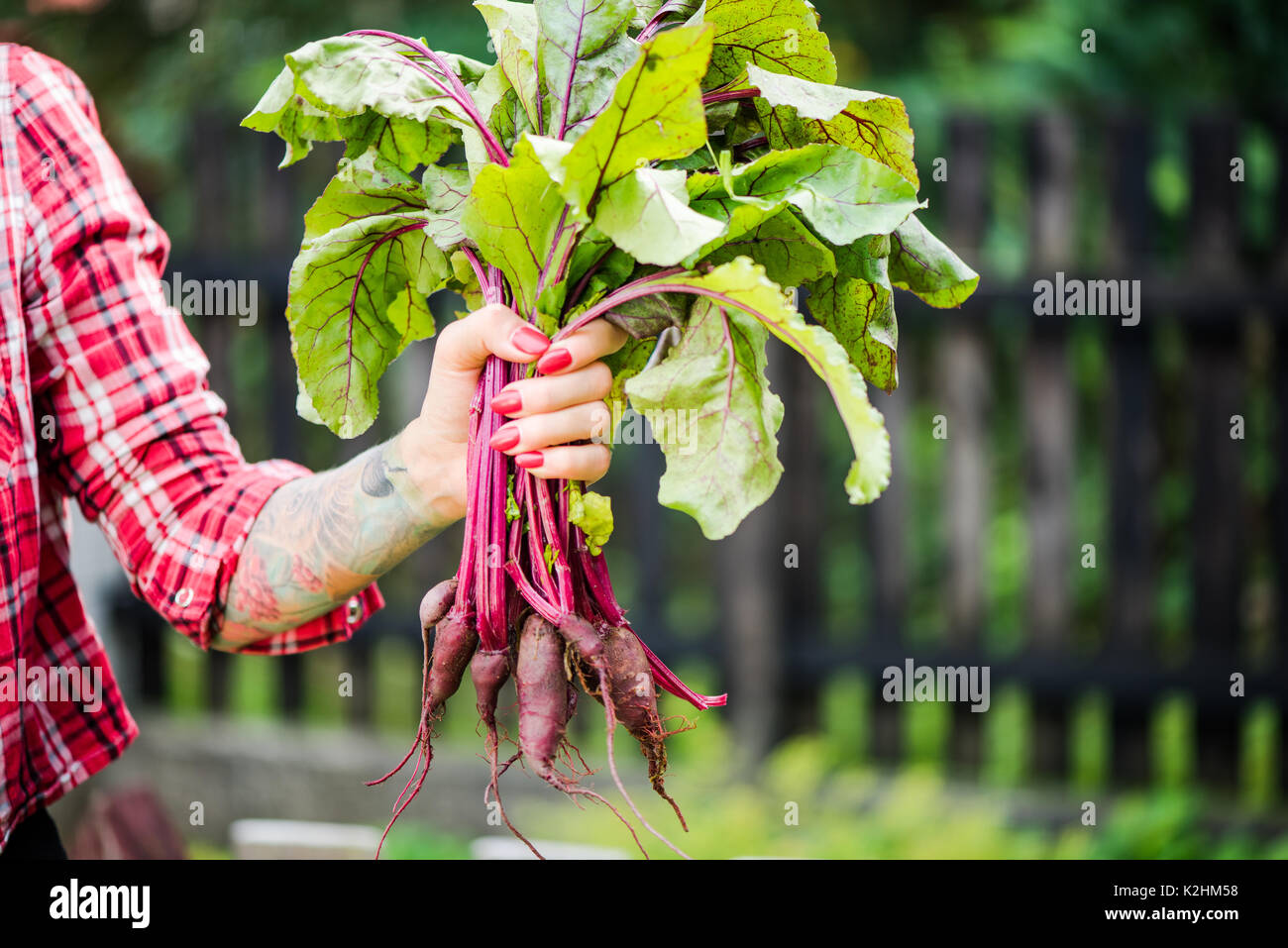 Tatuato millennial donna holding barbabietola in giardino. Foto Stock