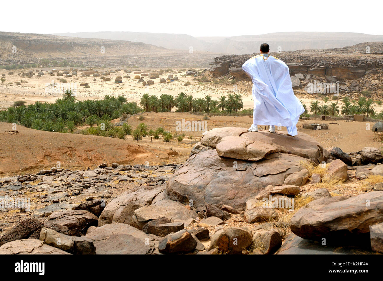 Un uomo guarda un'oasi nei pressi di Tergit. Regione di Adrar. La Mauritania Foto Stock