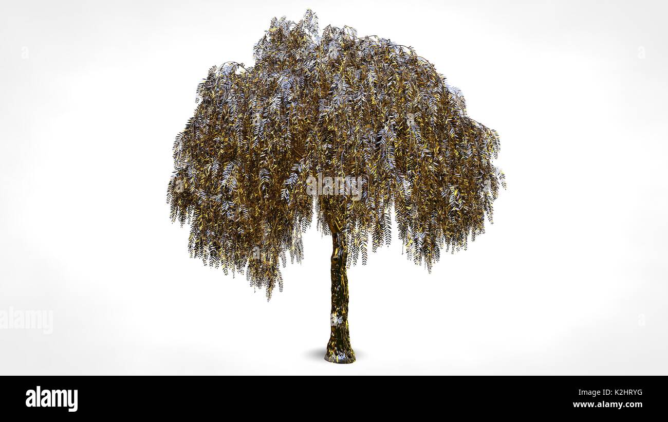 3D rendering di una riflessione astratta golden tree su sfondo bianco Foto Stock