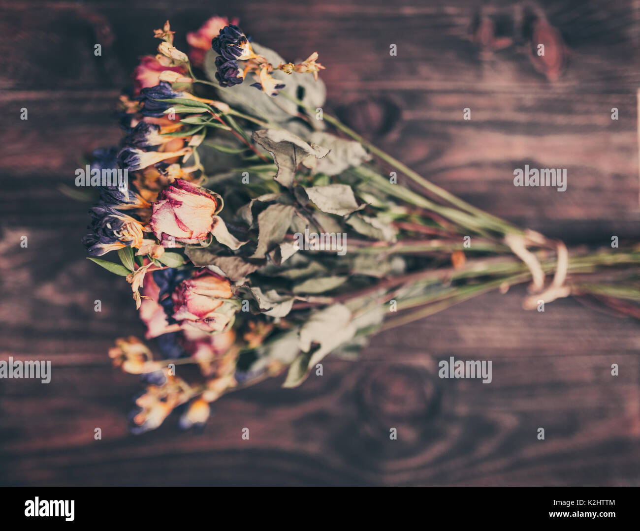 Bella coloratissimi fiori secchi su sfondo di legno come una cartolina o dettagli. Tonica con vecchio stile morbido colori seppia. Foto Stock