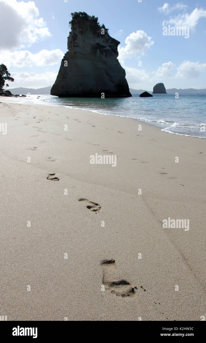 Cove della cattedrale Penisola di Coromandel nuova zelanda Foto Stock