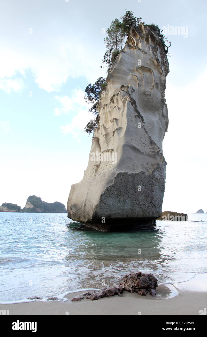 Cove Della Cattedrale Penisola di Coromandel Nuova Zelanda Foto Stock