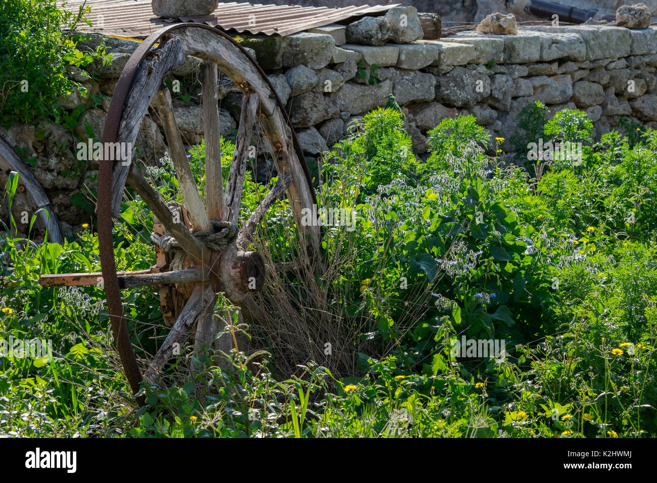 Un vecchio appoggiate da sinistra a rot e ruggine in campagna Maltese, essendo ricoperta da vegetazione. Foto Stock