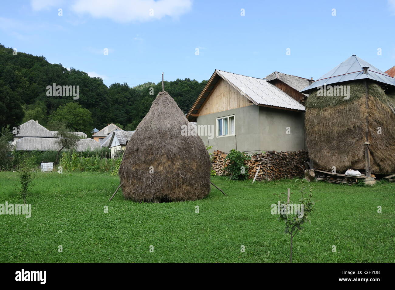 Fieno tradizionale rick nel villaggio rumeno barsana. Foto Stock