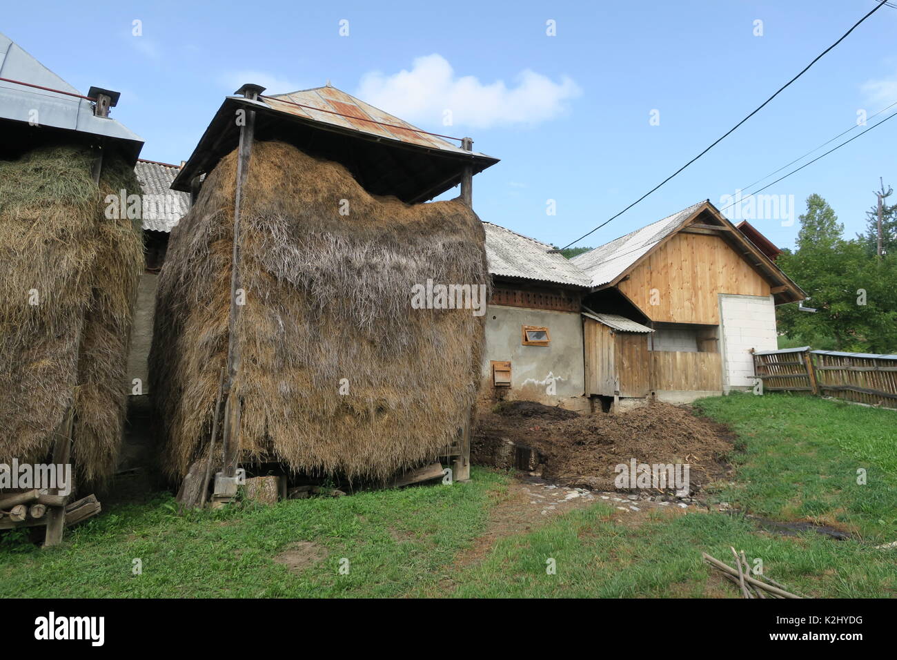 Fieno tradizionale rick nel villaggio rumeno barsana. Foto Stock