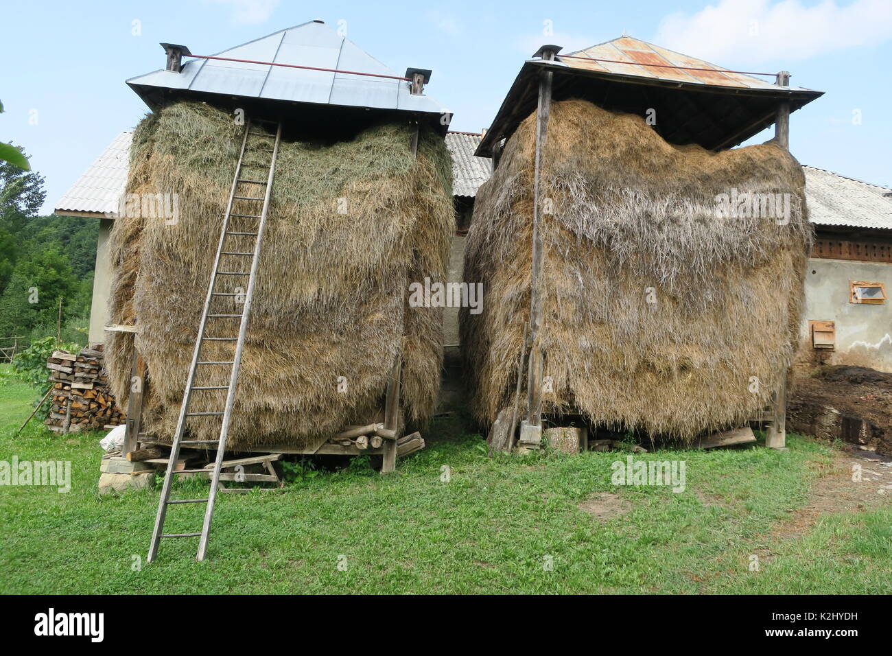 Fieno tradizionale rick nel villaggio rumeno barsana. Foto Stock