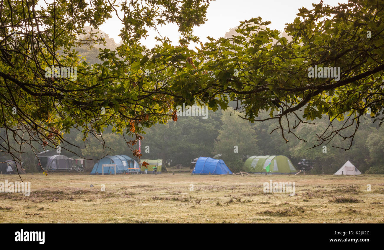 New Forest camping Foto Stock