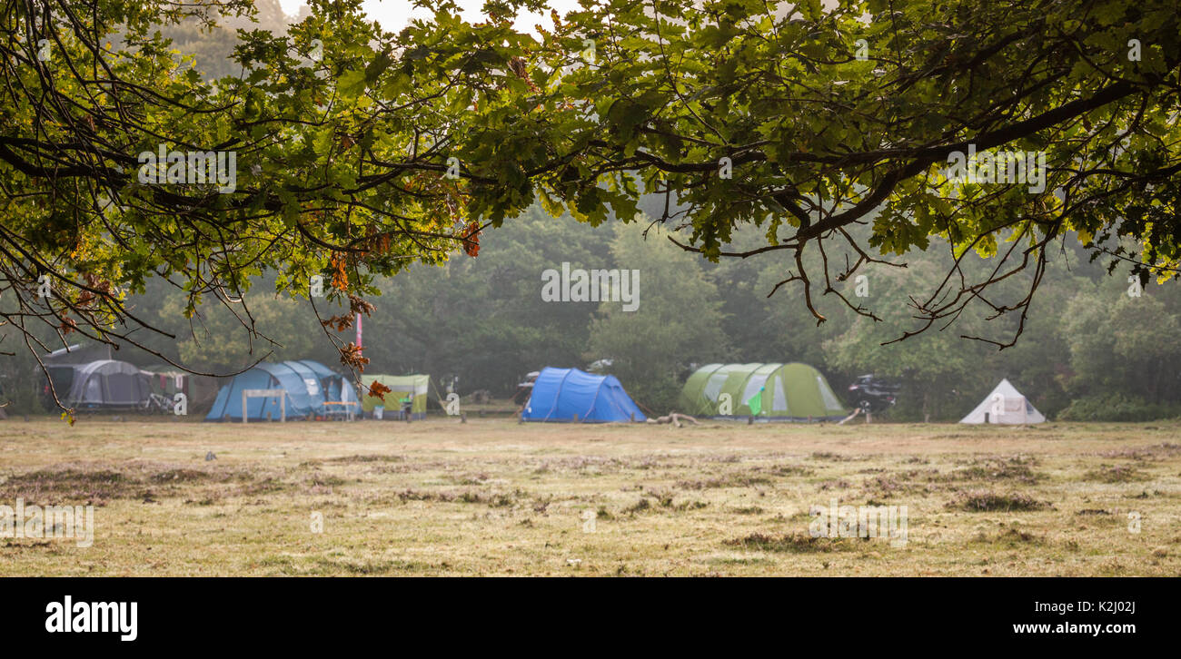 New Forest camping Foto Stock