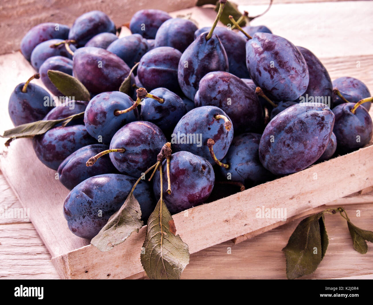 Prugna blu in una scatola di legno su un sfondo di legno fresco succosa grande nuovo raccolto con foglie di colore verde la dieta alimentare utile di frutta Foto Stock